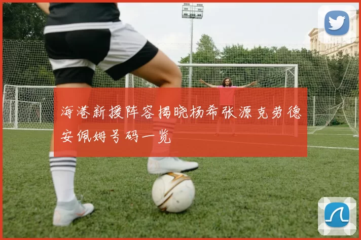 海港新援阵容揭晓杨希张源克劳德安佩姆号码一览