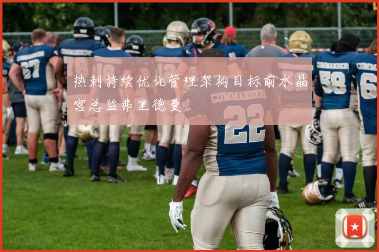 热刺持续优化管理架构目标前水晶宫总监弗里德曼